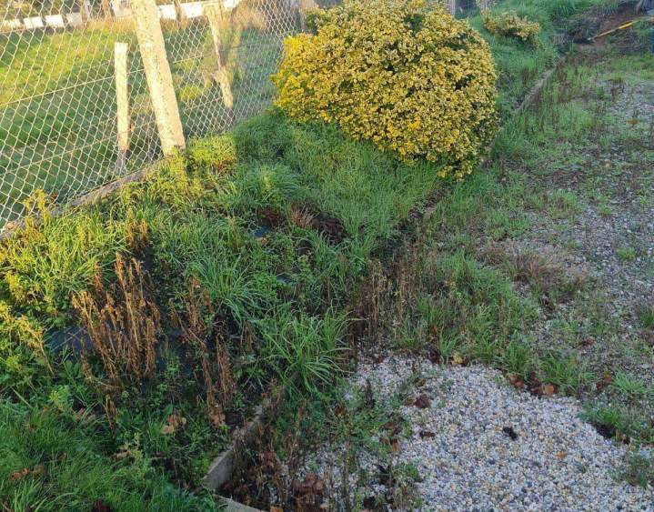 Aménagement extérieur Mayenne