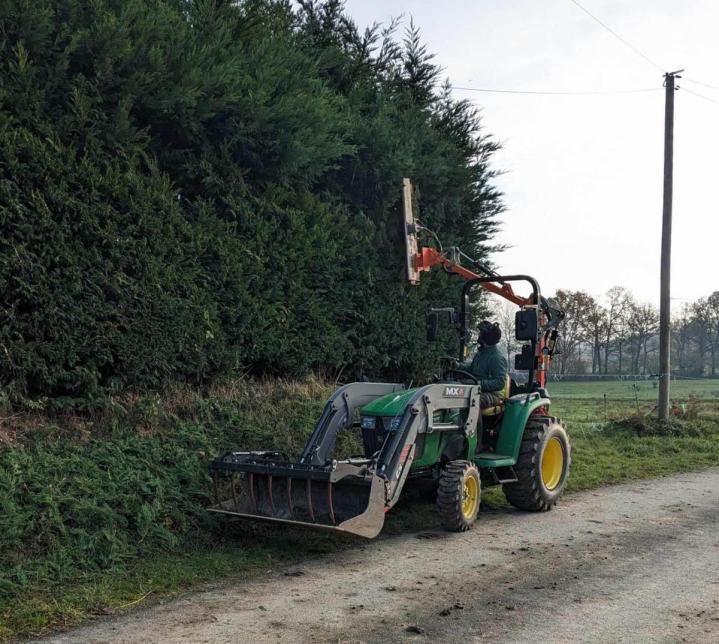 Travaux d'élagage Mayenne